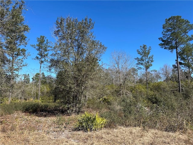 TRACTCLOT59 Bartram Loop, Waynesville GA, 31566 land for sale