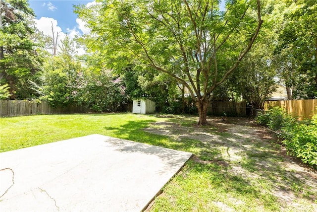 907 Euclid Ave, Waycross, GA 31501 - fenced backyard featuring a shed and a patio area