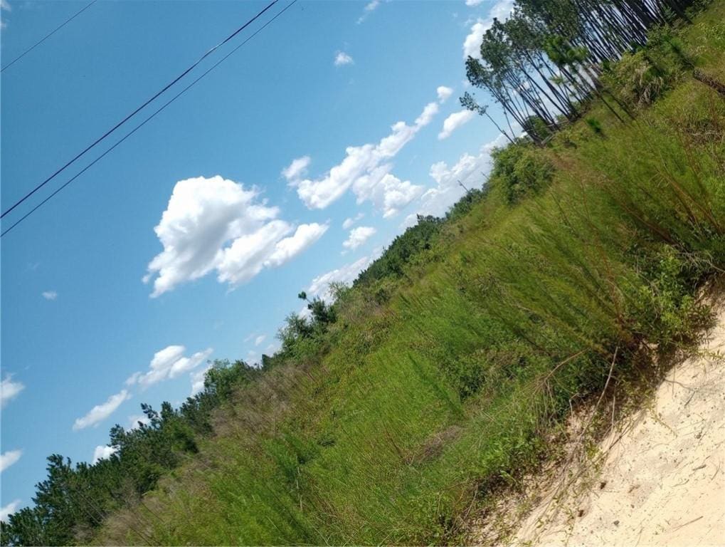 150 Kyle Stains Rd, Baxley, GA 31513