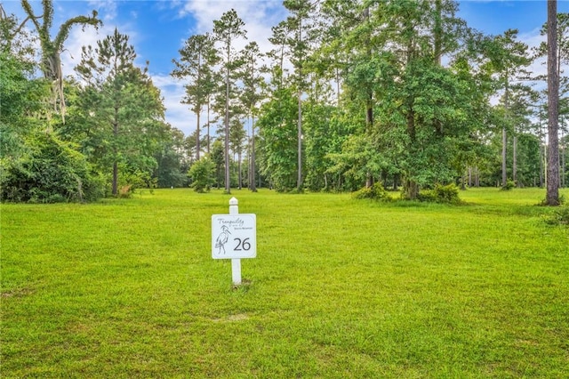 Listing photo 3 for LOT26TRANQUILITY Baker Island Way, Townsend GA 31331