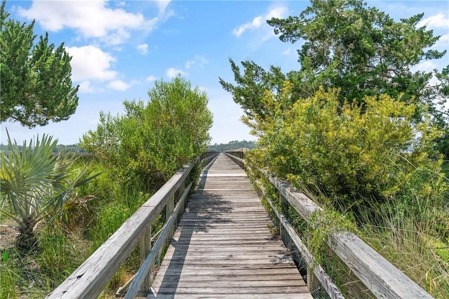 14 Atlantic Pt, Saint Simons Island, GA 31522 - photo 49