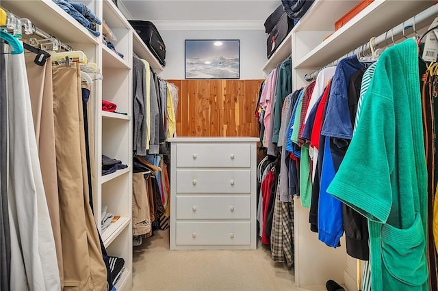 walk in closet featuring light colored carpet