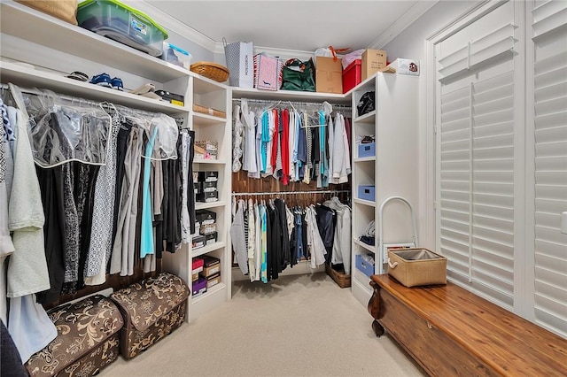 walk in closet with light carpet