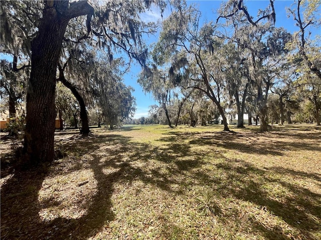 LOT917 Hidden Lagoon Ln, Townsend, GA 31331