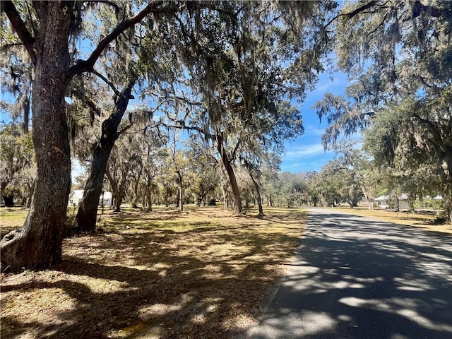 LOT917 Hidden Lagoon Ln, Townsend, GA 31331