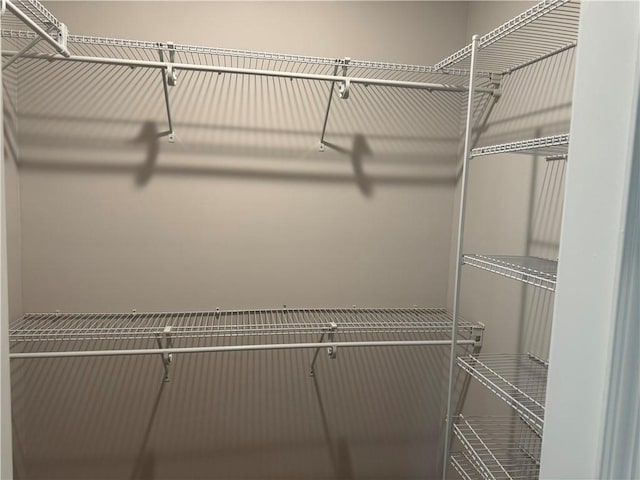 100 Haven Ct, Brunswick, GA 31523 - view of walk in closet