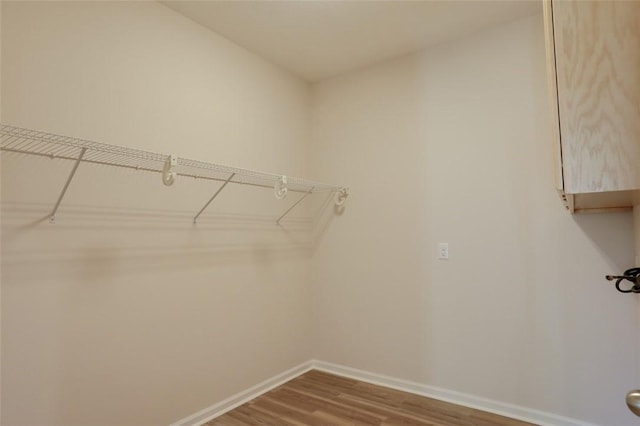 walk in closet with hardwood / wood-style flooring