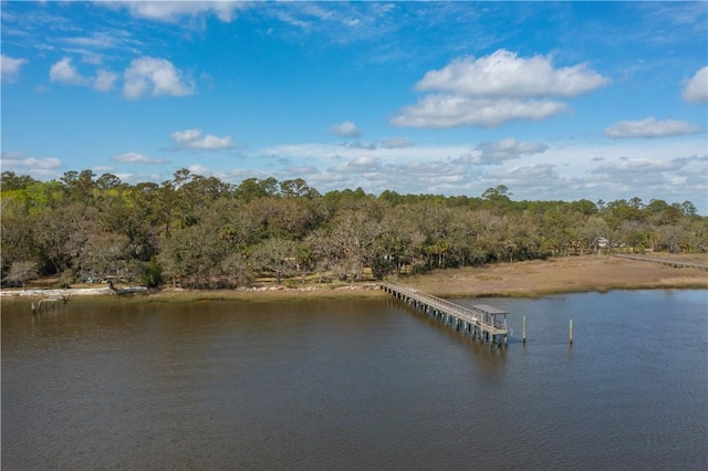 1680 Blythe Island Dr, Brunswick, GA 31523