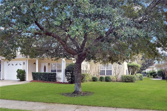 view of property hidden behind natural elements featuring a garage and a front lawn