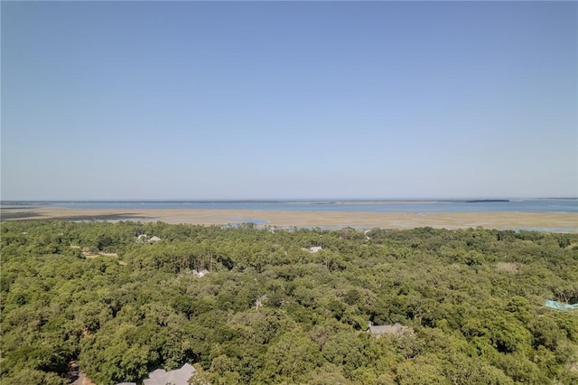 302 Cobia Ln, Saint Marys, GA 31558 - photo 13