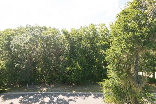 302 Cobia Ln, Saint Marys, GA 31558 - photo 3