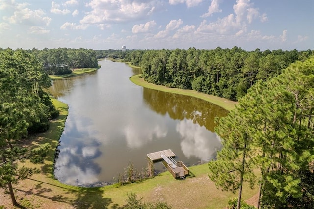 302 Cobia Ln, Saint Marys, GA 31558 - photo 31