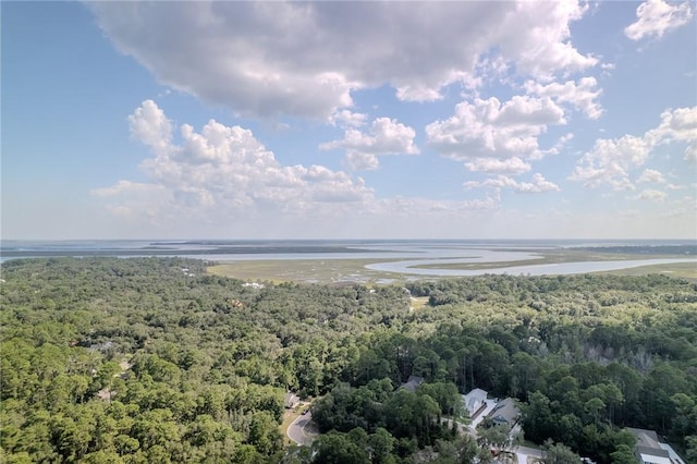 302 Cobia Ln, Saint Marys, GA 31558 - photo 14