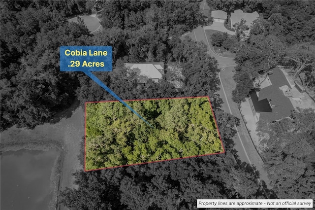 302 Cobia Ln, Saint Marys, GA 31558 - photo 11
