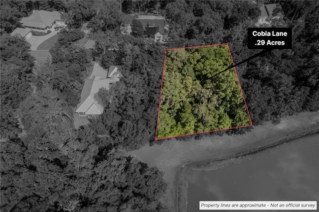 302 Cobia Ln, Saint Marys, GA 31558 - photo 12