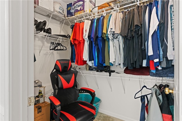 114 Shell Pointe Dr, Brunswick, GA 31525 - view of walk in closet
