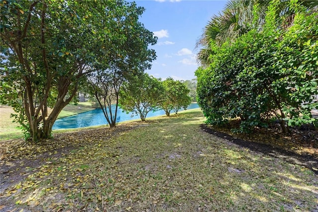 view of yard featuring a water view