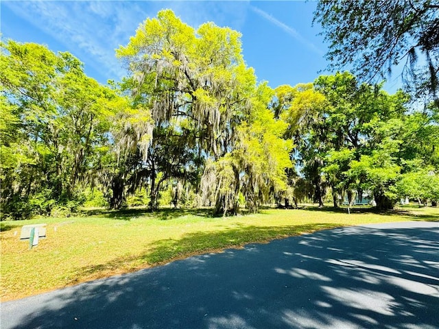 Listing photo 2 for LOT48 Coopers Point Dr, Townsend GA 31331