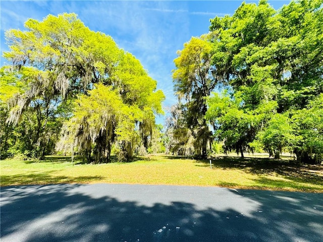 LOT48 Coopers Point Dr, Townsend GA, 31331 land for sale