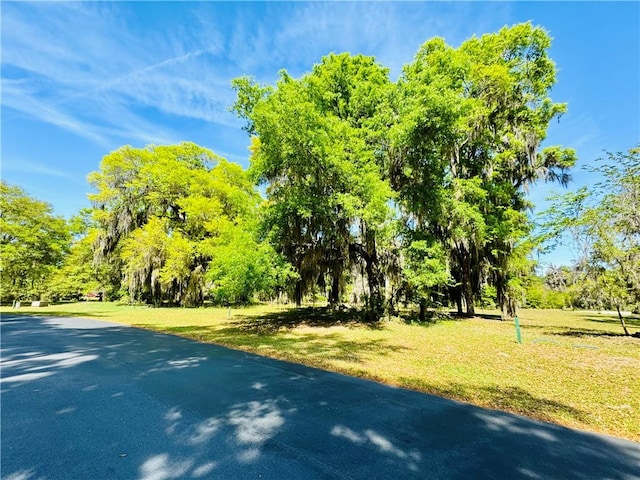 Listing photo 3 for LOT48 Coopers Point Dr, Townsend GA 31331