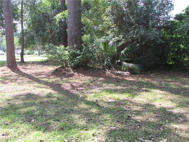 306 Lee Ave, Waycross, GA 31501 - photo 45