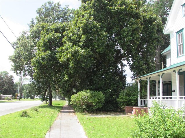 306 Lee Ave, Waycross, GA 31501 - photo 46