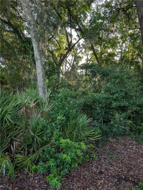 1350 Lawrence Rd, Saint Simons Island, GA 31522
