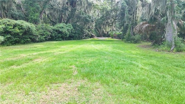 1096 Guale Pt SE, Darien, GA 31305 - photo 6