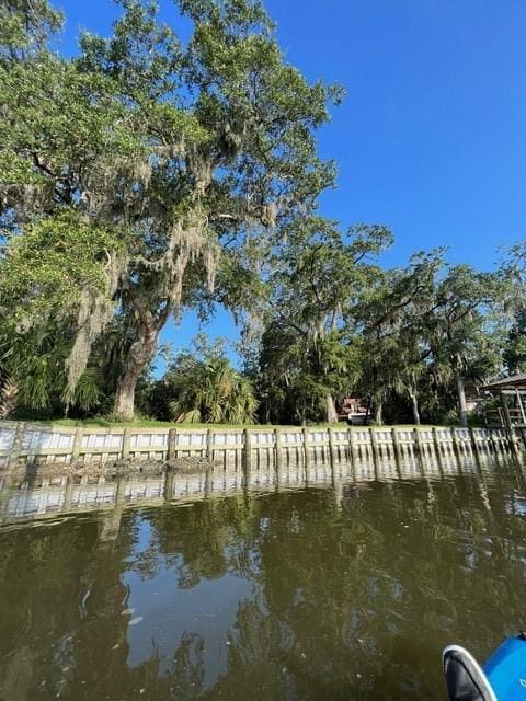 1096 Guale Pt SE, Darien, GA 31305 - photo 5
