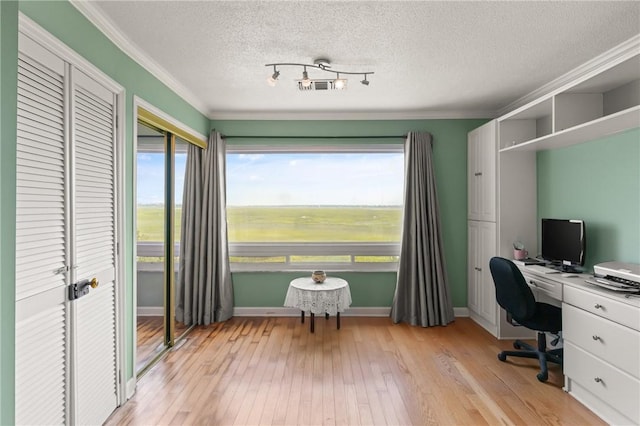 345 Moss Oak Cir, Saint Simons Island, GA 31522 - office space featuring a textured ceiling, light wood-style floors, crown molding, and track lighting