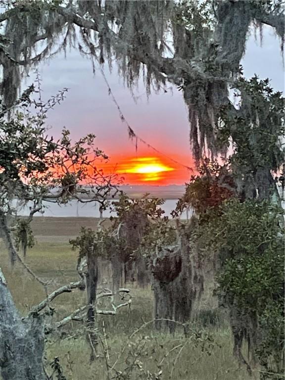 view of nature at dusk