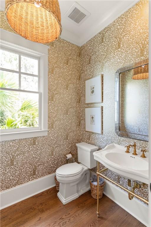 bathroom featuring toilet, wood-type flooring, and sink