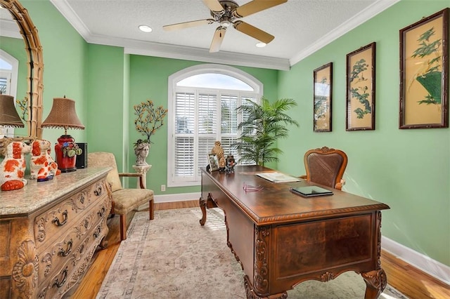 office featuring crown molding, ceiling fan, and light wood-type flooring