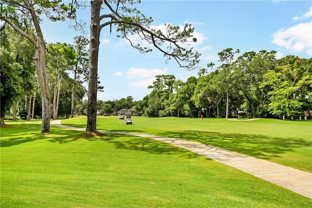 view of property's community with a lawn