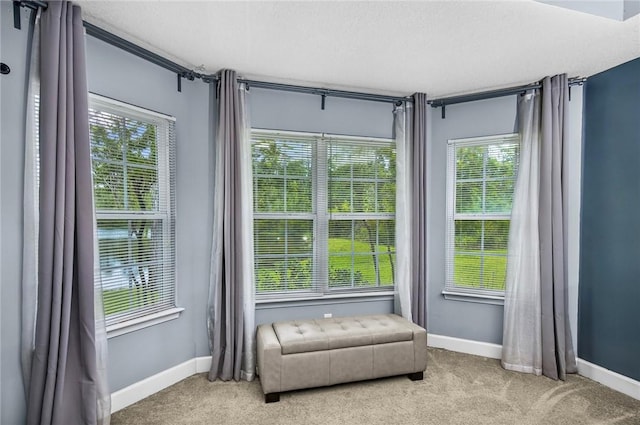 326 Daniel Trent Way, Kingsland, GA 31548 - living area featuring carpet floors, healthy amount of natural light, and baseboards