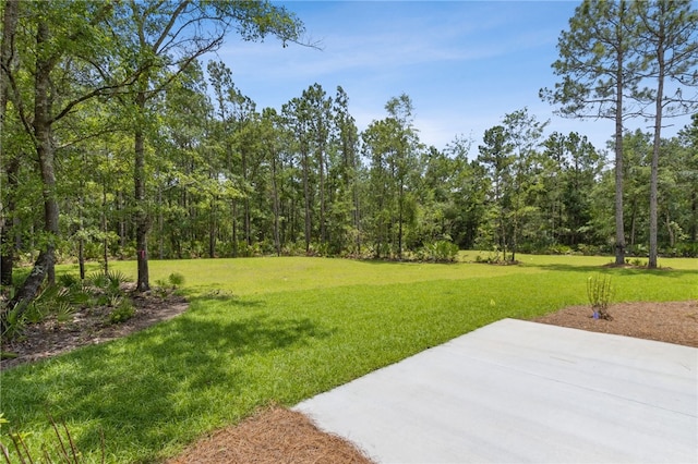 180 Ossabaw Way, Waverly, GA 31565 - view of grassy yard featuring a patio area and a forest view