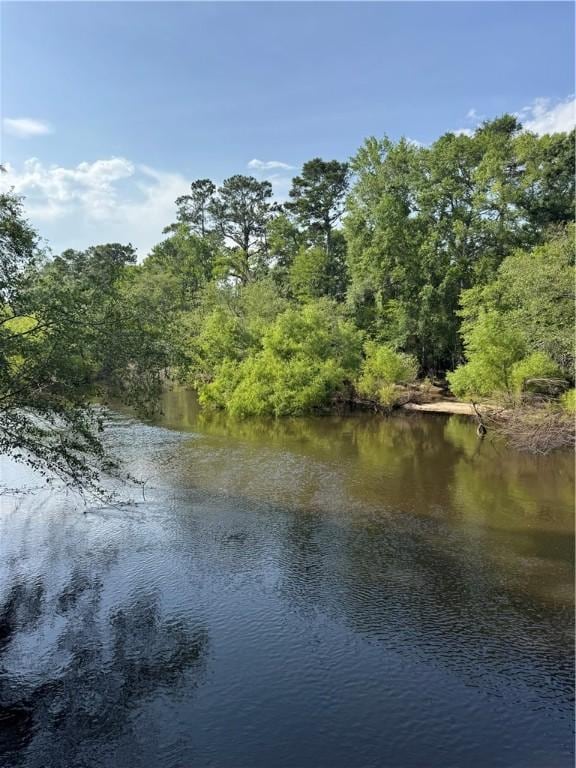 1518 To Jones Rd, Reidsville, GA 30453 - water view