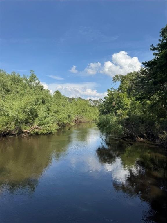 1518 To Jones Rd, Reidsville, GA 30453 - water view