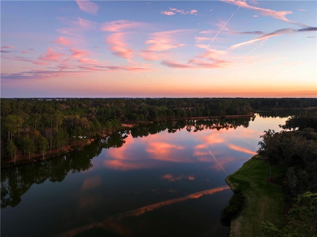 1241 Pikes Bluff Rd, Saint Simons Island, GA 31522 - aerial view at dusk of a view of trees and a water view