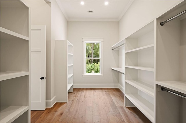 1241 Pikes Bluff Rd, Saint Simons Island, GA 31522 - spacious closet with light wood-type flooring