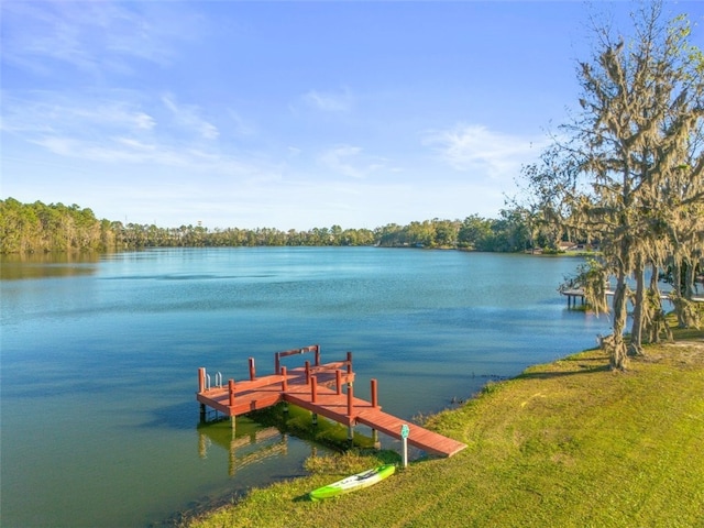 dock area with a water view