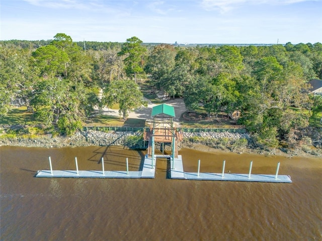 dock area with a water view