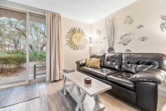 living room featuring light hardwood / wood-style flooring and a textured ceiling