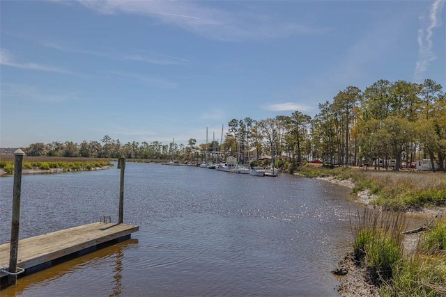 1056 Fiddler Trce, Townsend, GA 31331 - dock with a water view