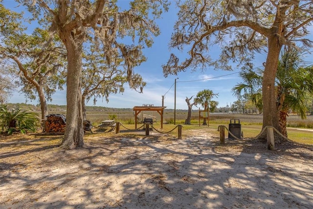 1056 Fiddler Trce, Townsend, GA 31331 - view of yard