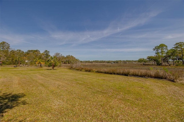 1056 Fiddler Trce, Townsend, GA 31331 - view of green lawn with a view of countryside