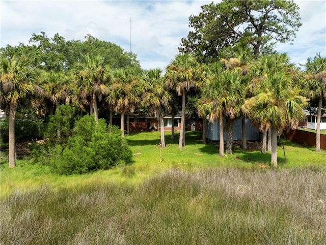 view of local wilderness