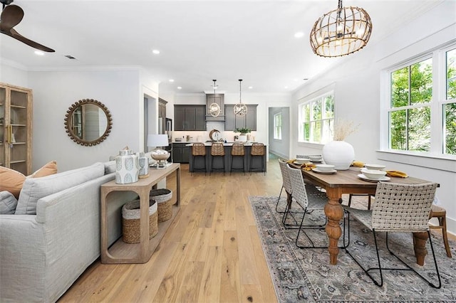 dining area featuring crown molding, light hardwood / wood-style floors, and ceiling fan with notable chandelier