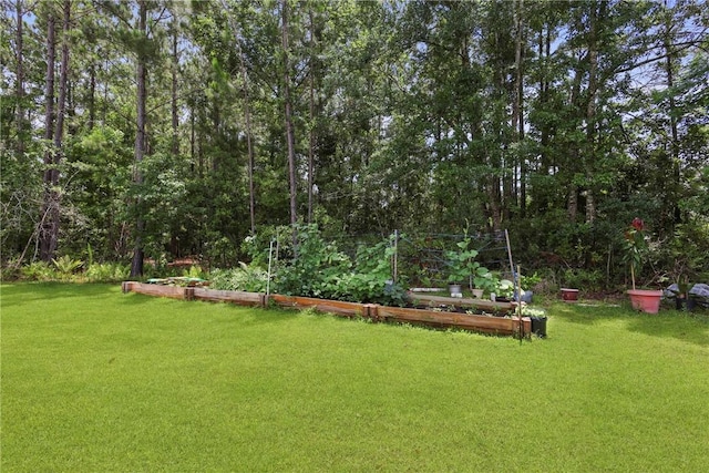 64 Wellington Cir, Brunswick, GA 31525 - view of grassy yard featuring a vegetable garden