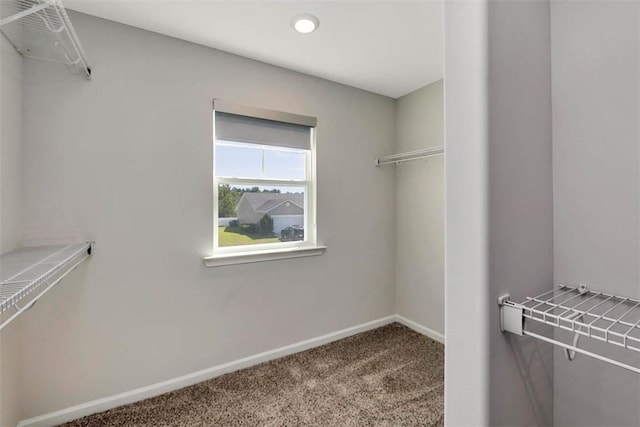 1135 Autumns Wood Cir E, Brunswick, GA 31525 - spacious closet with carpet